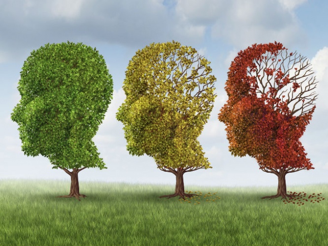 Imagen salud mental 4